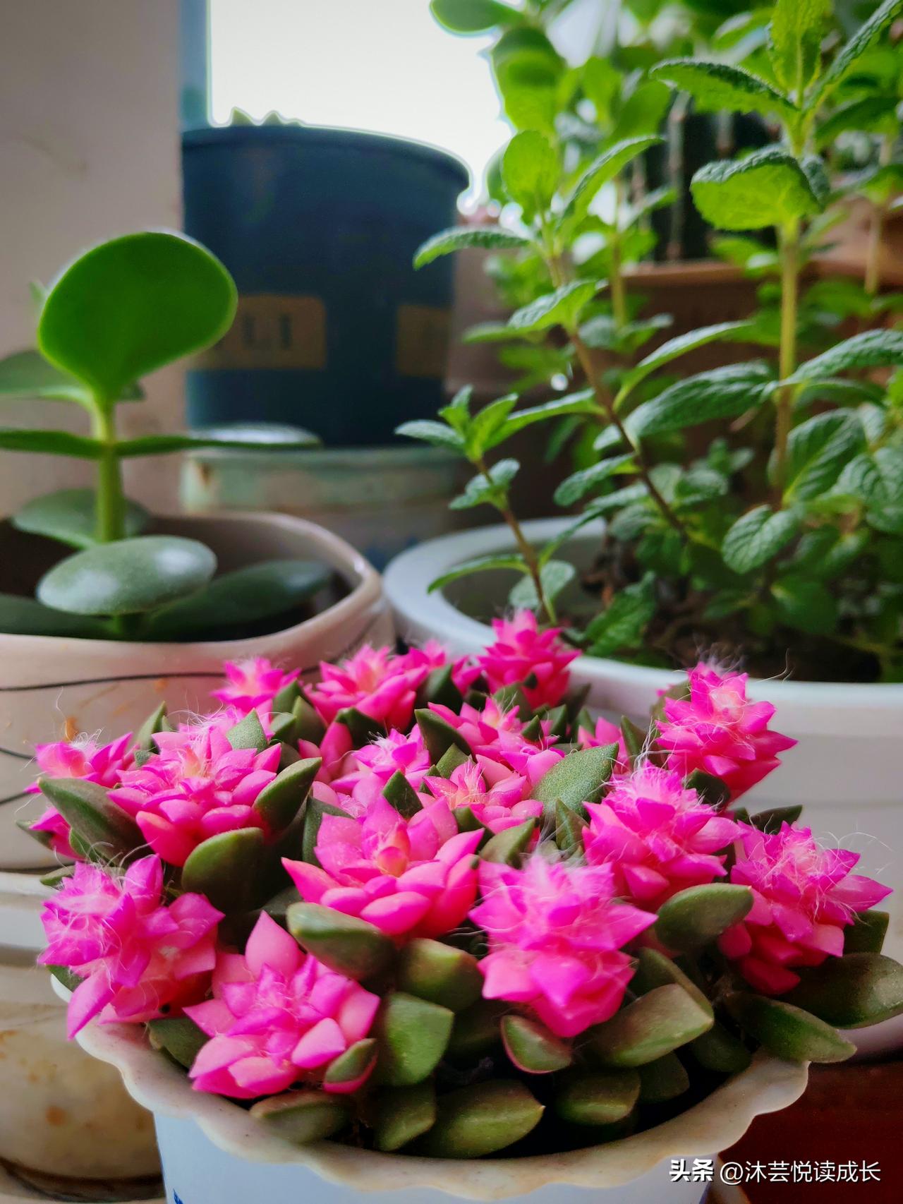 今天出门打车，和司机师傅一路闲聊，心里特别有感触。
 
师傅说，开出租车每天早出