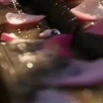 如果你要选择前方，那就不要再留恋过去的温暖，带上你的倔强与骄傲，就像向日葵迎着太