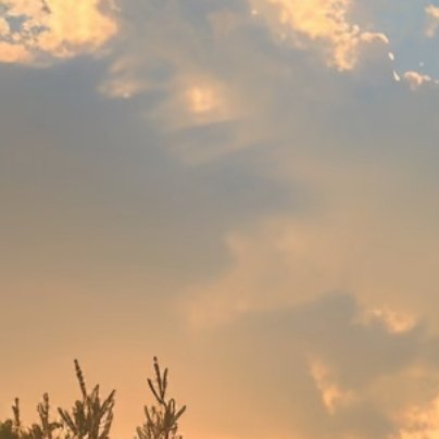 0000不要认为命运是铁打的一成不变，命运就是一块没有修理的草坪，仔细打理，仔细
