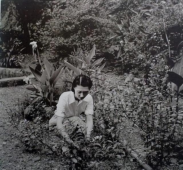 张学良唯一在世儿子：美国国籍不会汉语，64岁首回国完成父亲遗愿

张闾琳的命运，