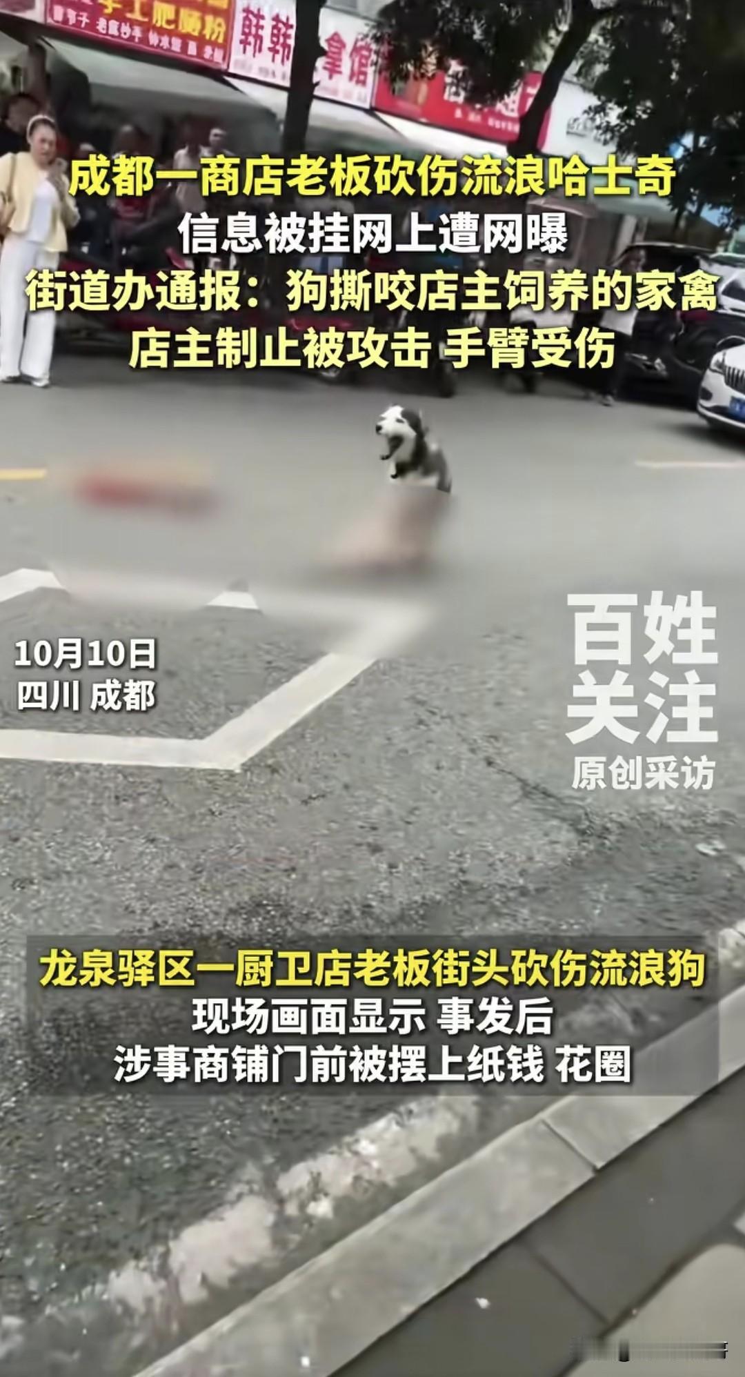 哈士奇撕咬店主饲养的家禽，制止时被攻击，老板一怒之下将狗砍至重伤，送医后死亡。1