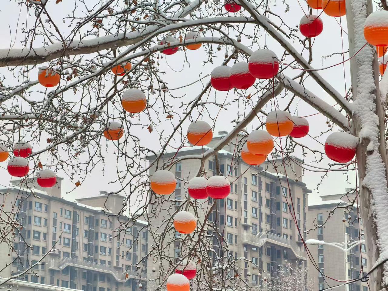 2. 琼枝缀雪藏诗意，红灯映白兆丰年。一场春雪，满城年味，把这冬日里的浪漫与欢喜