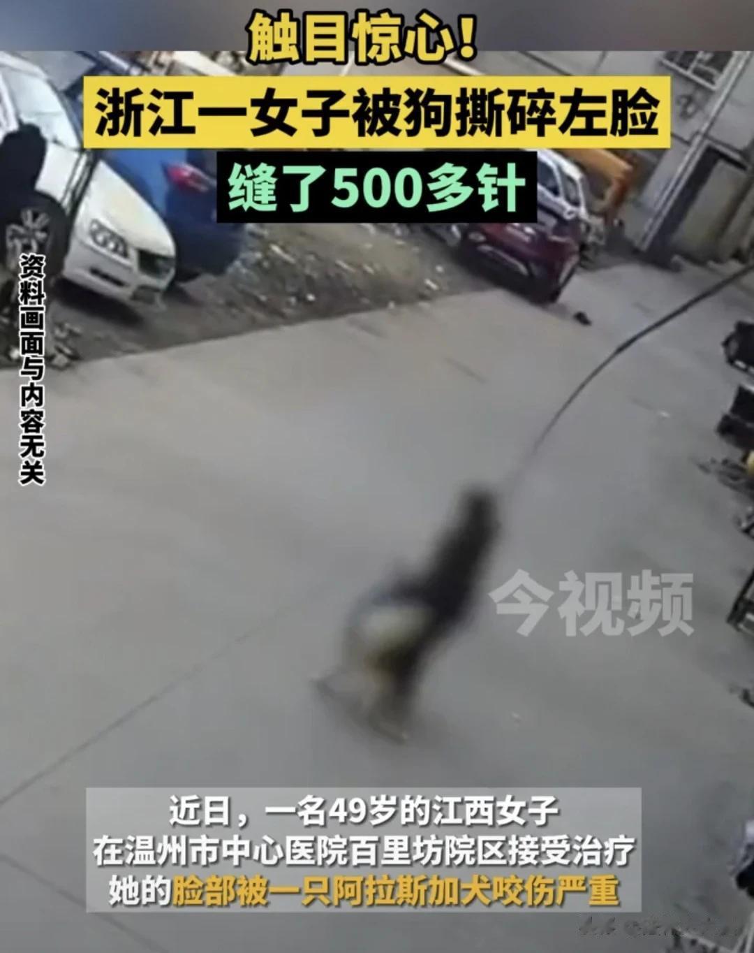浙江温州，女子正在洗衣服，房东放狗喂食，没想到，狗没去吃东西，反而扑向旁边女子，