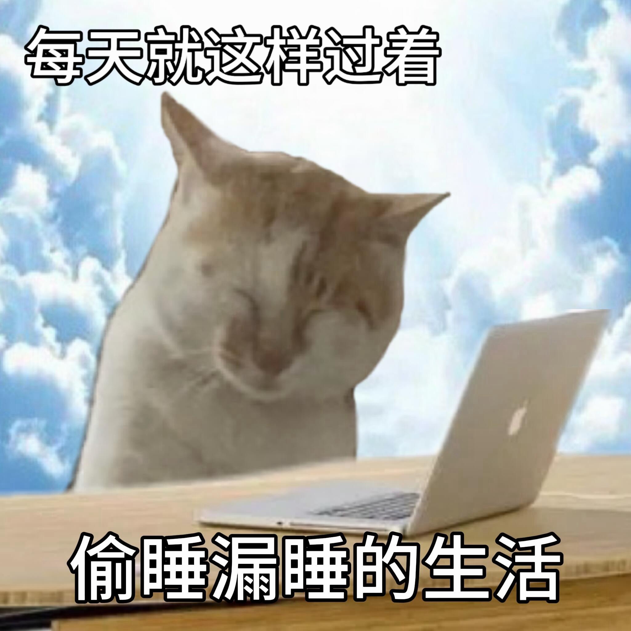 每天精神状态 