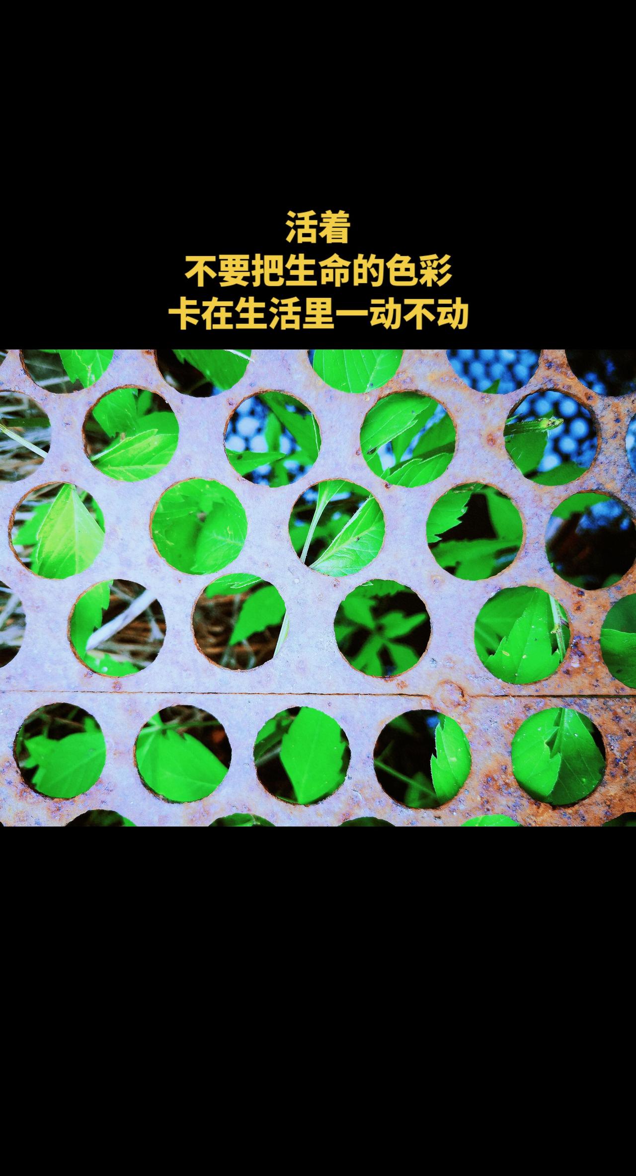 不管男人和女人，不管长成少年，中年或者老年，我们内心都应该装着一个孩子，我们不要