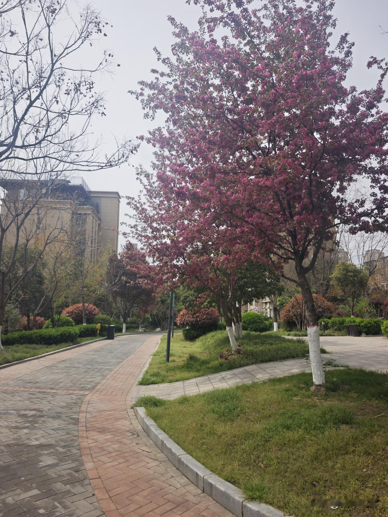 碧桂园凤凰城小区环境还是不错的，虽然已经过去了这么多年，可见一个好物业是很重要的