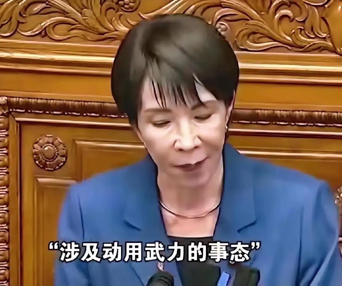 批透了，高市晚苗哪里跑

环球时报报道，11月12日，朝鲜社会科学院举行了一场名