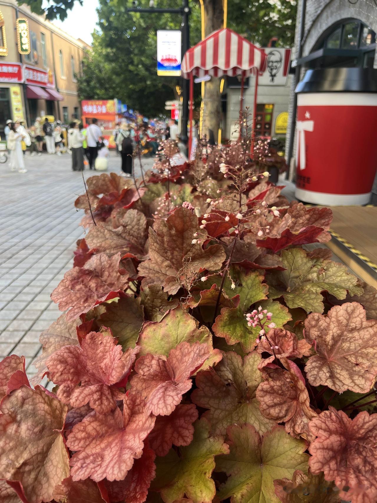一段话道出无数中年人的心声：
“前半生，我们用所谓的自由，换来了柴米油盐，把青春