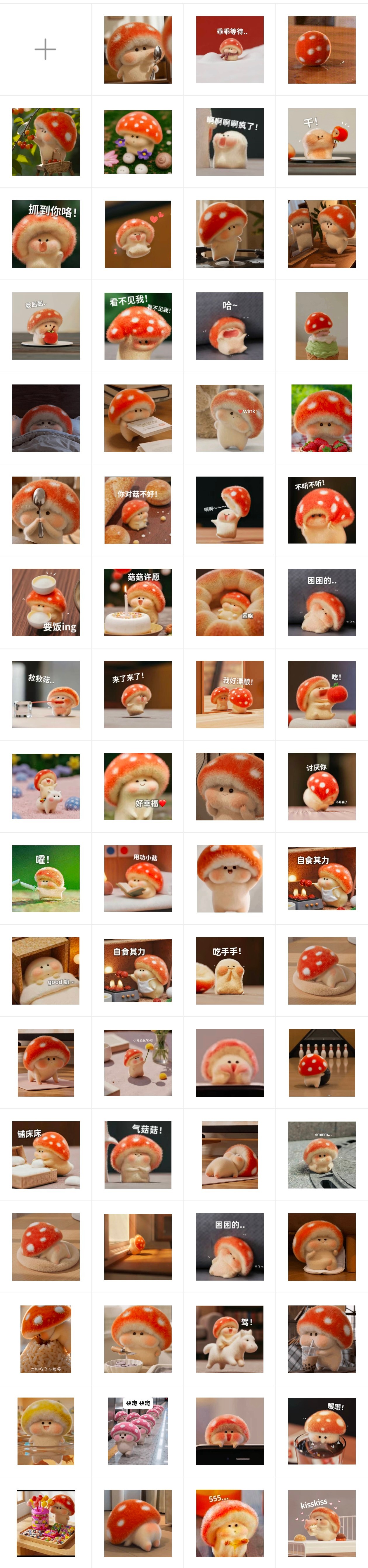 蘑菇大王 🍄 
