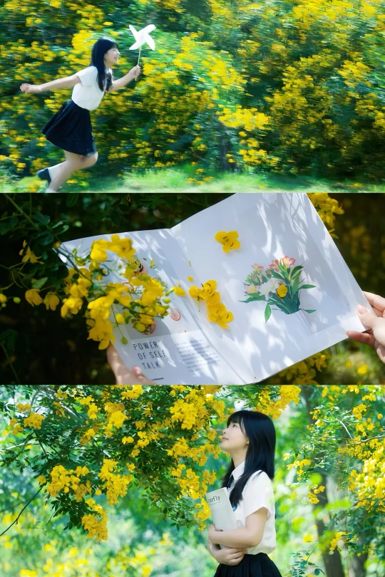 9.23实拍‼️青龙湖的小黄花又开爆了，超出片~