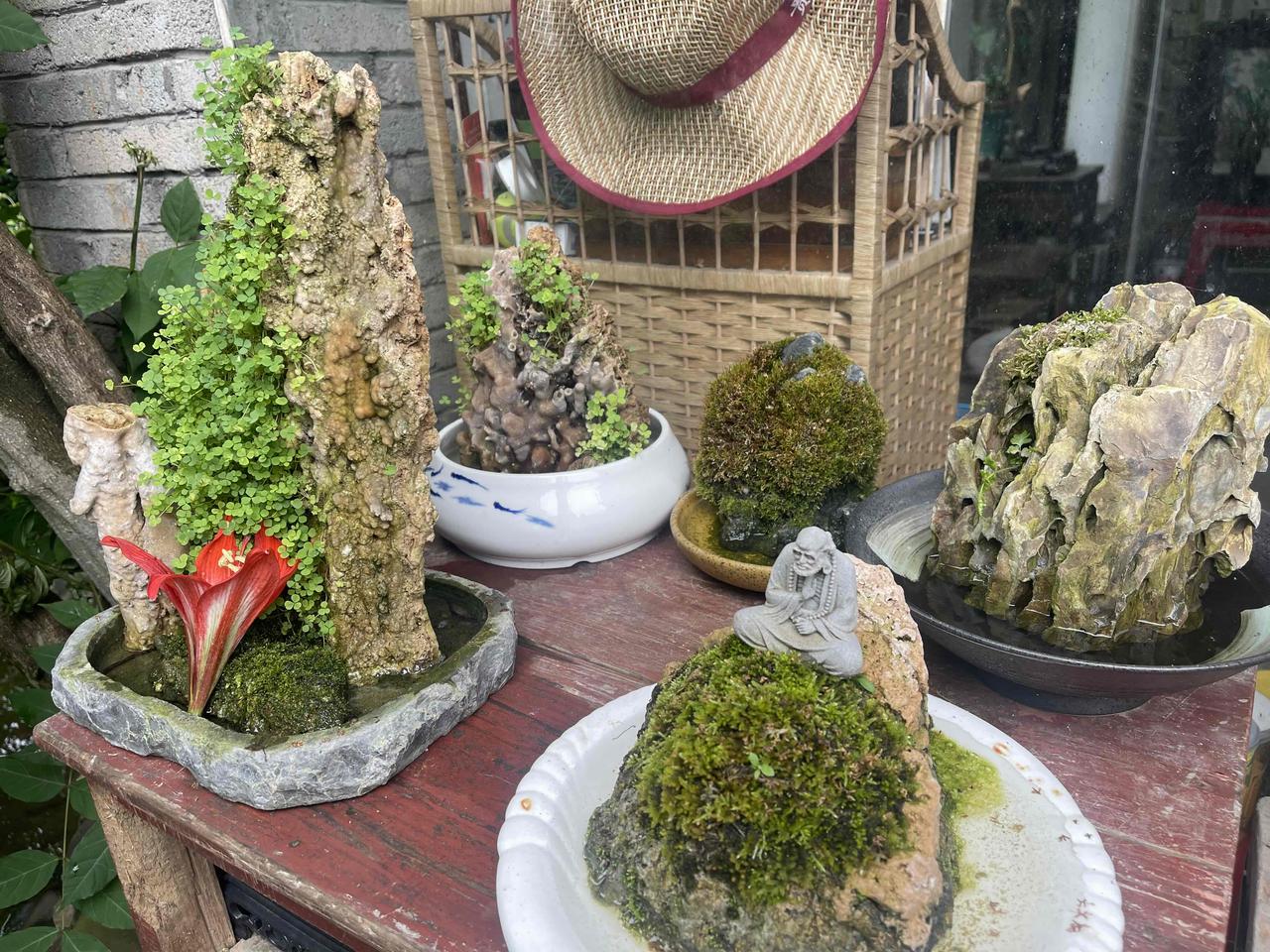 人这一辈子，怎么活才不累

人活着，谁都有疲惫，谁都有心酸，想要活得轻松自在，其