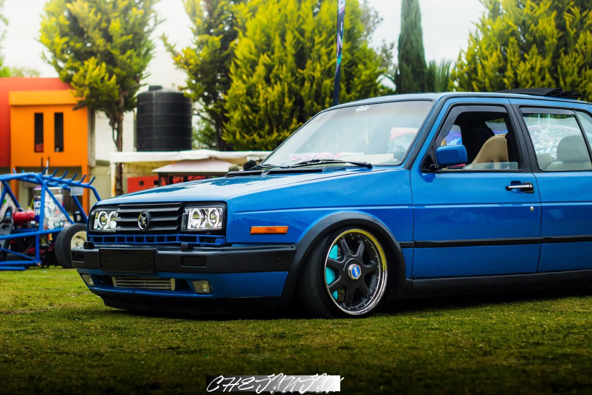 来自西半球的捷达儿。