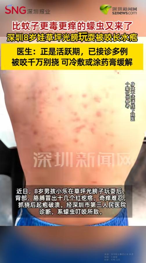 “比蚊子还讨厌！”6月23日报道，广东深圳，一位8的小男孩在公园草坪上玩了半天，