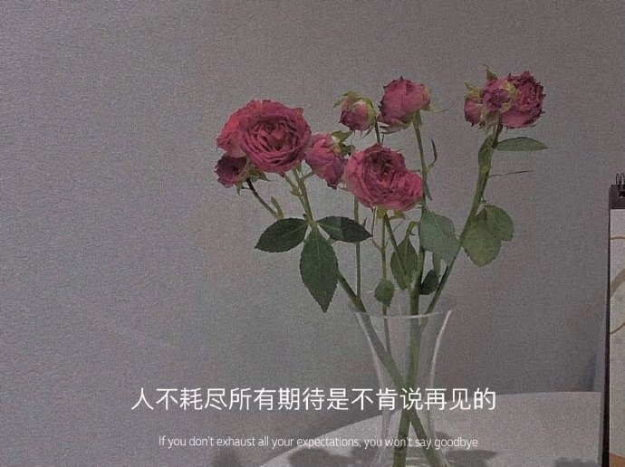 说混得不好吧，三餐有着落，说混得好吧，兜里随时又没钱，这扯淡的生活啊，就像喝粥一