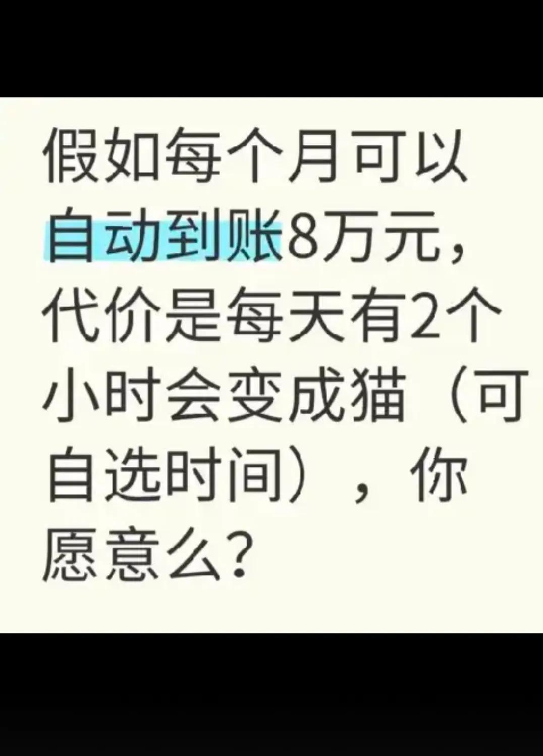 你愿意吗？？？？