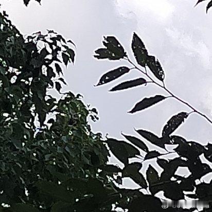 努力的意义，不在于一定会让你取得多大的成就，只是让你在平凡的日子里，活得比原来的