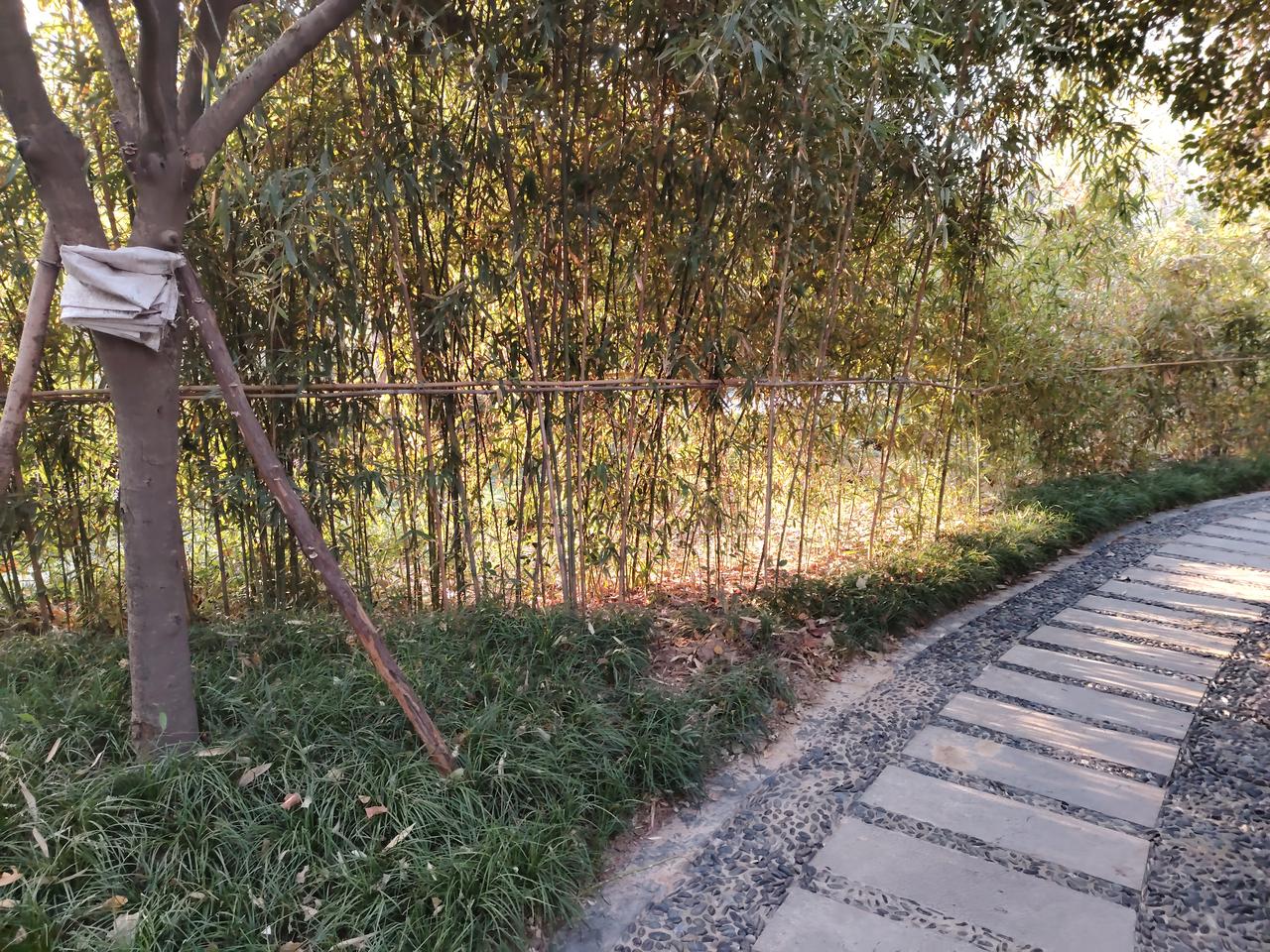 我是一名退休教师，退休后陷入了社交的困境。当年的发小，有的在远方打工，有的在周边