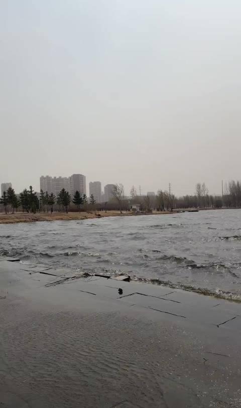 昨天长春的风有多大，请看视频北湖都给吹成北海了  ​​​