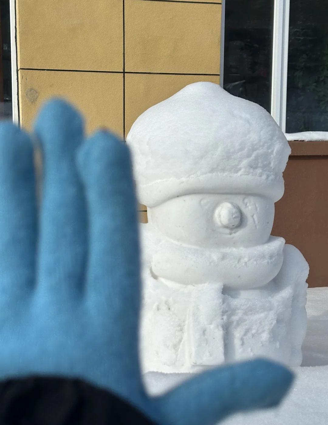 永远怀念北方的雪景和冷空气
南方孩子在今年初终于看到了心心念念的雪景[心][心]