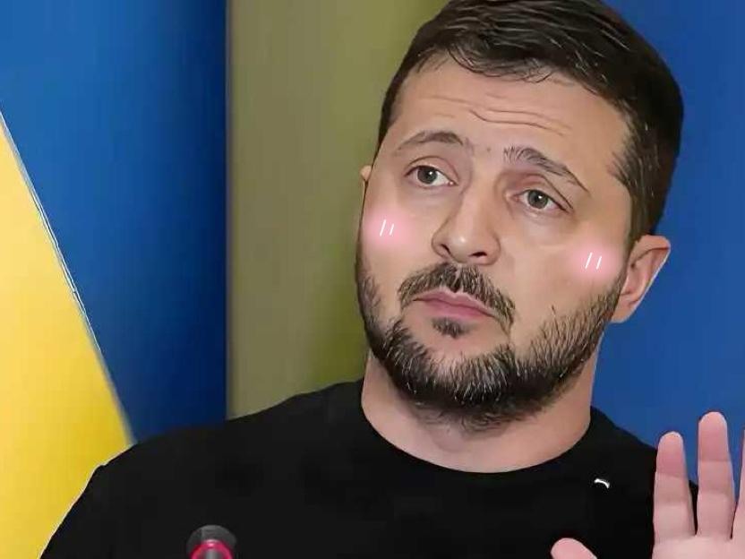 泽连斯基的底线博弈：宁死不割地的背后，是没得选的绝境

泽连斯基的意思很明确，你