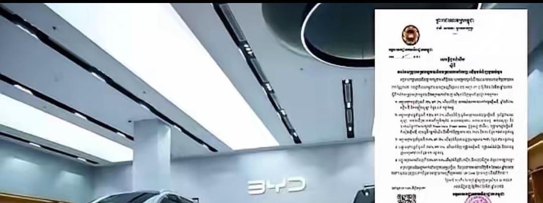 今天，东南亚突然掀牌。柬埔寨从4月1日起，把面向中国的纯电车、充电桩、太阳能整套