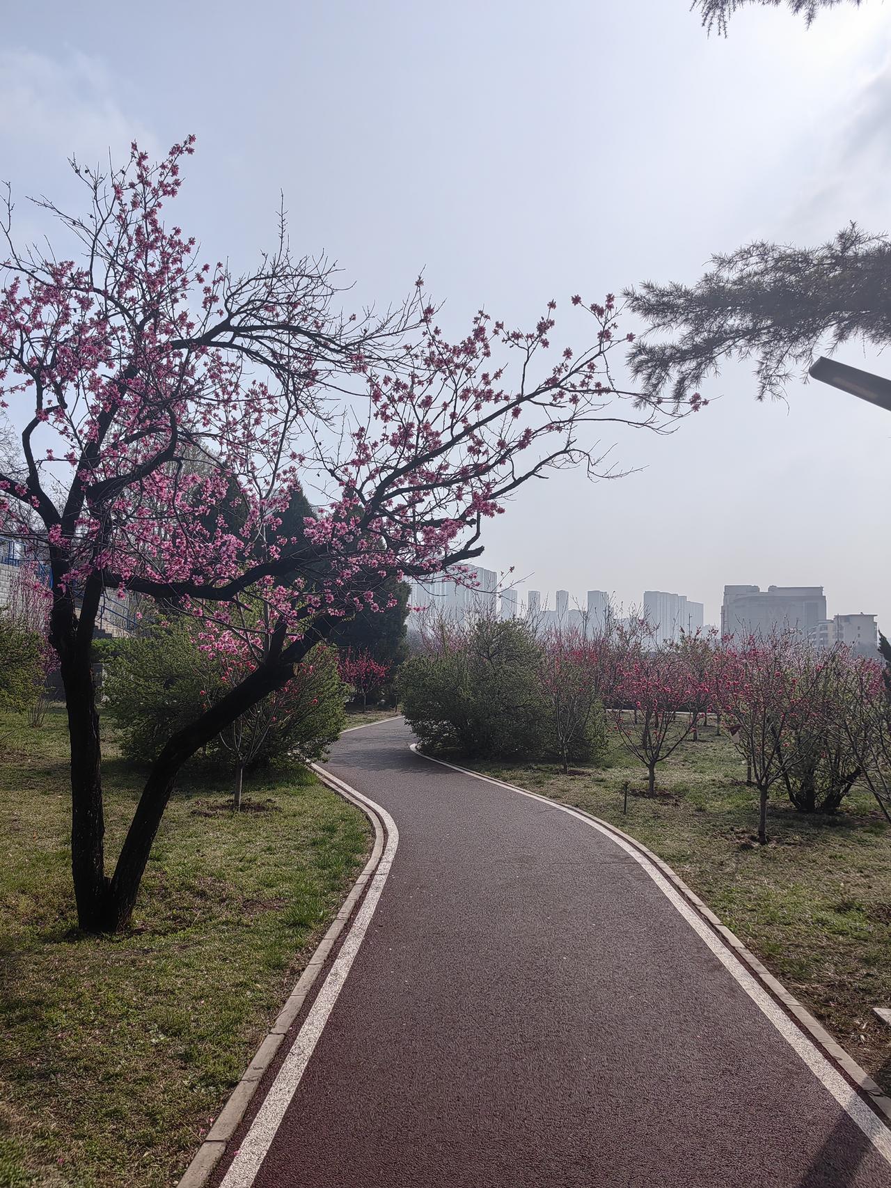 最著名的片段，法庭判决修道士打十鞭，第一鞭子落在身上，大喊，我们的在天之父，此时