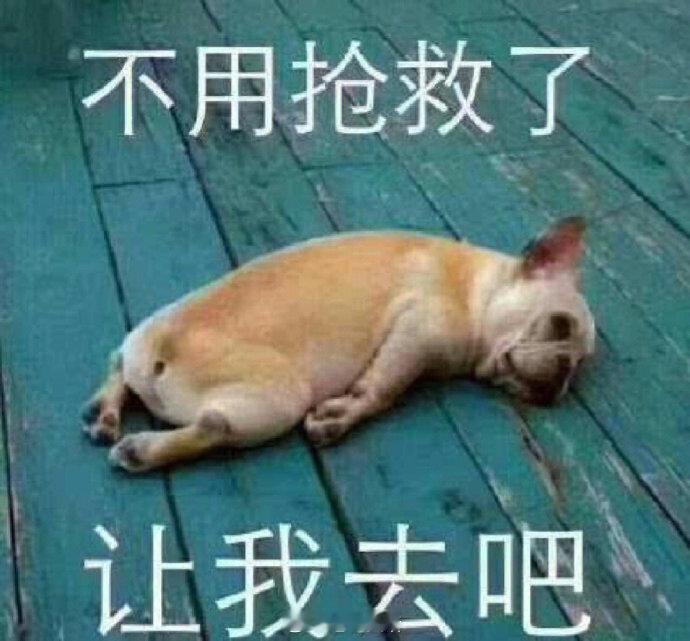 聊天必备表情包第678弹汪汪旺旺 ​​​（拿图吱声） ​​​
