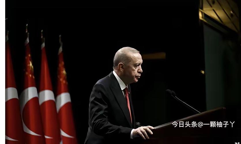 土耳其外长接连出访沙特、阿联酋、卡塔尔等海湾国家，一边沟通一边劝说，希望阿拉伯国