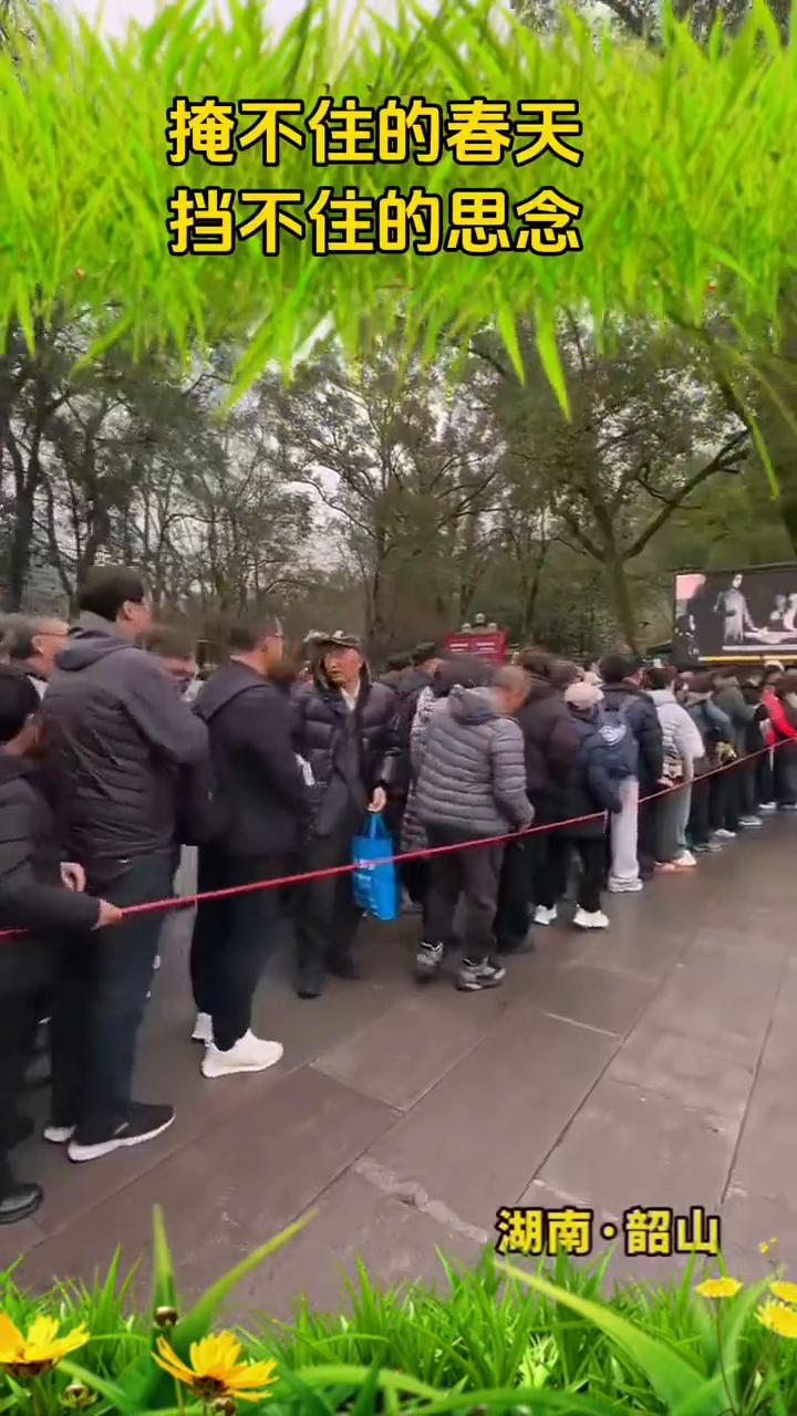 掩不住的春天，挡不住的思念。
湖南·韶山。