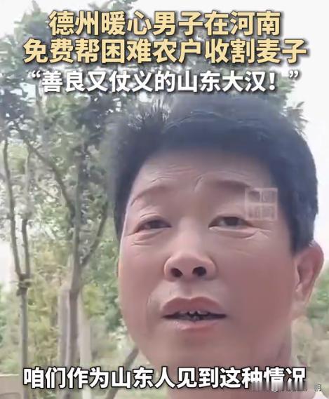 5月这个山东大哥火了！德州农机手到河南工作，因同情一男子挂着输尿管徒手割麦子！于