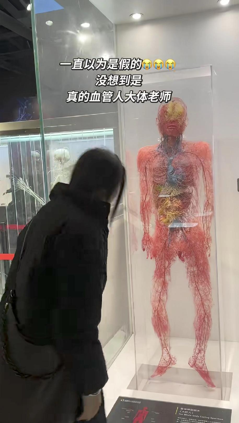 第一次看到人体全身大小血管的大体老师，真的是令人震惊，也真的是令人…
给他鞠个躬