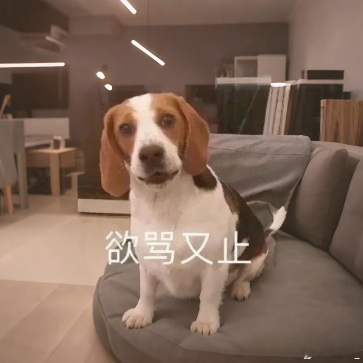 中国强硬拒绝世界杯天价转播费支持！国际足联这吃相太难看了真看人下菜，而且我们的报