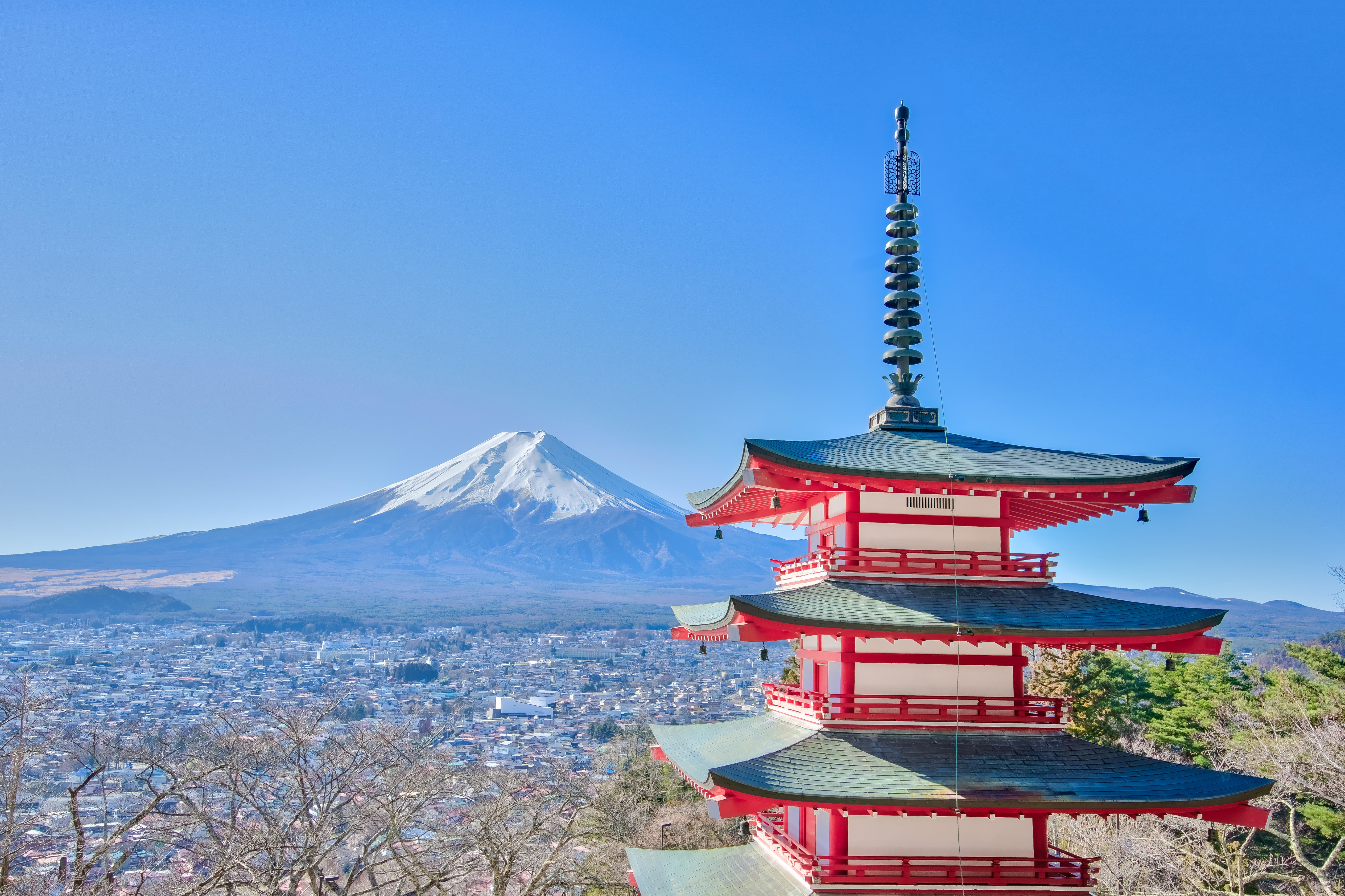 从妖怪化物到宝可梦——专访《日本妖怪化物史》译者王子豪