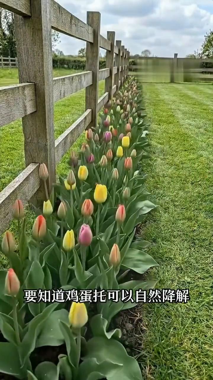 真别说种地也能玩出各种巧思，路低成本妙招，一个比一个实用。
·先看第一个办法：大
