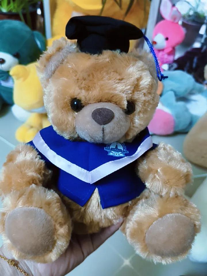 这是哈尔滨工业大学硕士研究生毕业时，学校给每个研究生发的一个纪念熊玩偶。在众多的