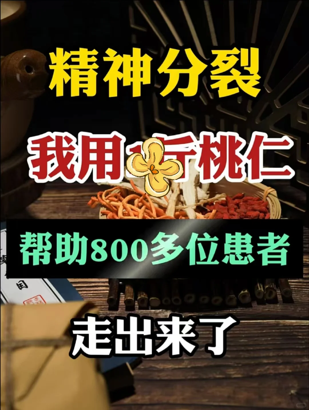 在一段不平凡的探索之旅中，我见证了自然之赐——以微不足道的桃仁为引，竟...