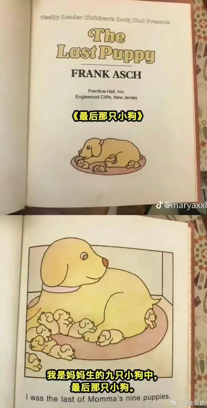 最后那只小狗