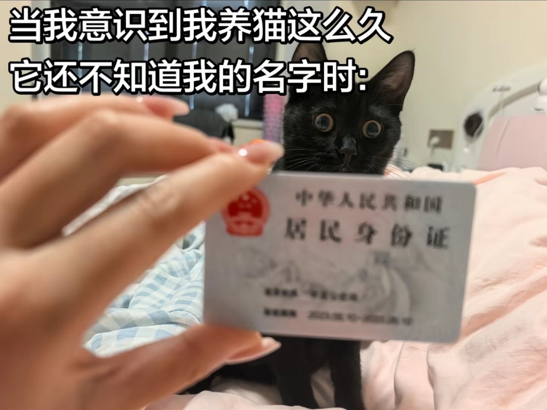 分享图片 
