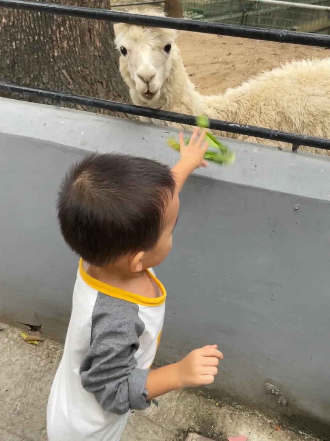 为什么你不发火，孩子就不听话❓