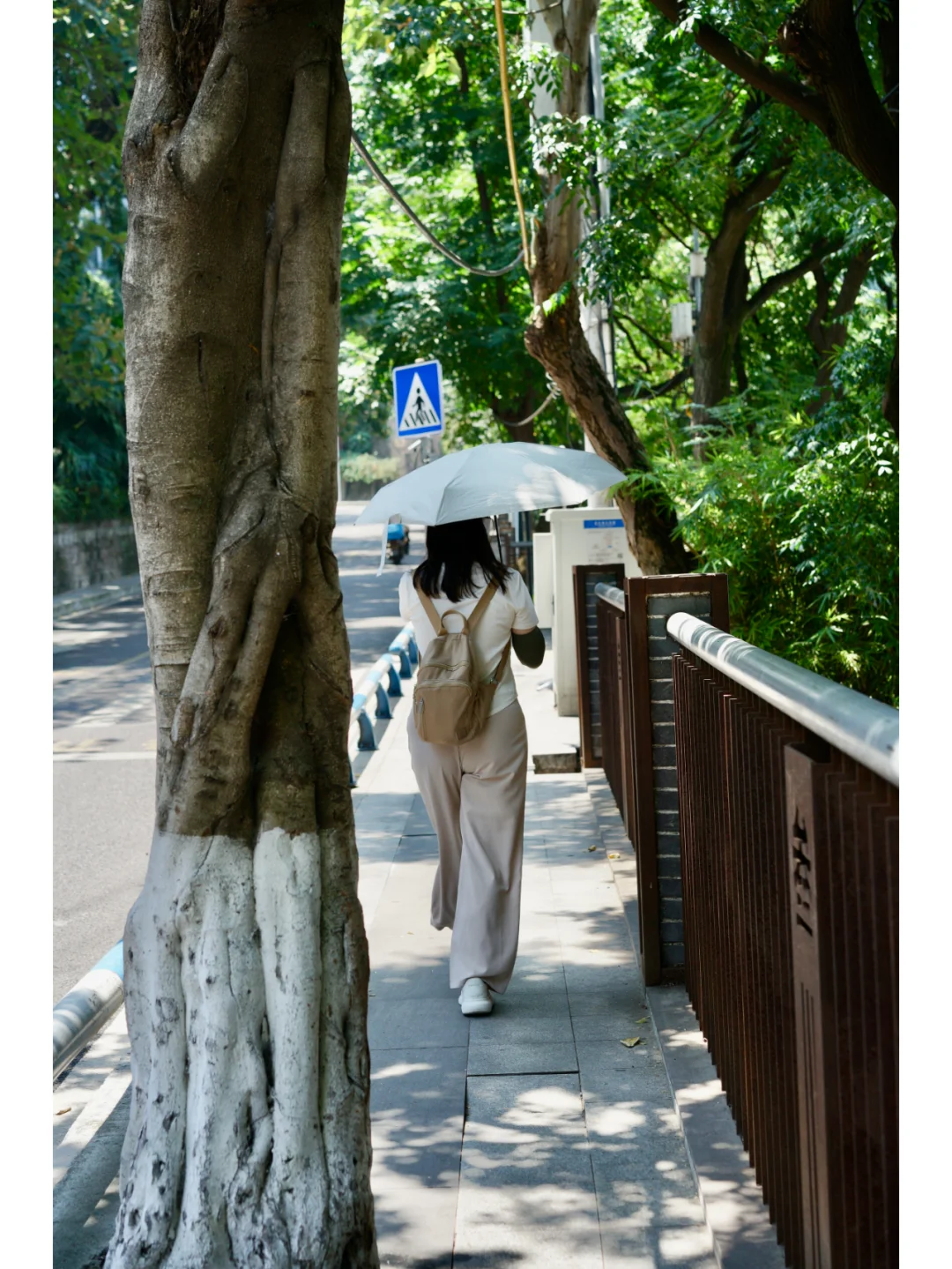 重庆｜李子坝的观景台有西天取经那么远‼️