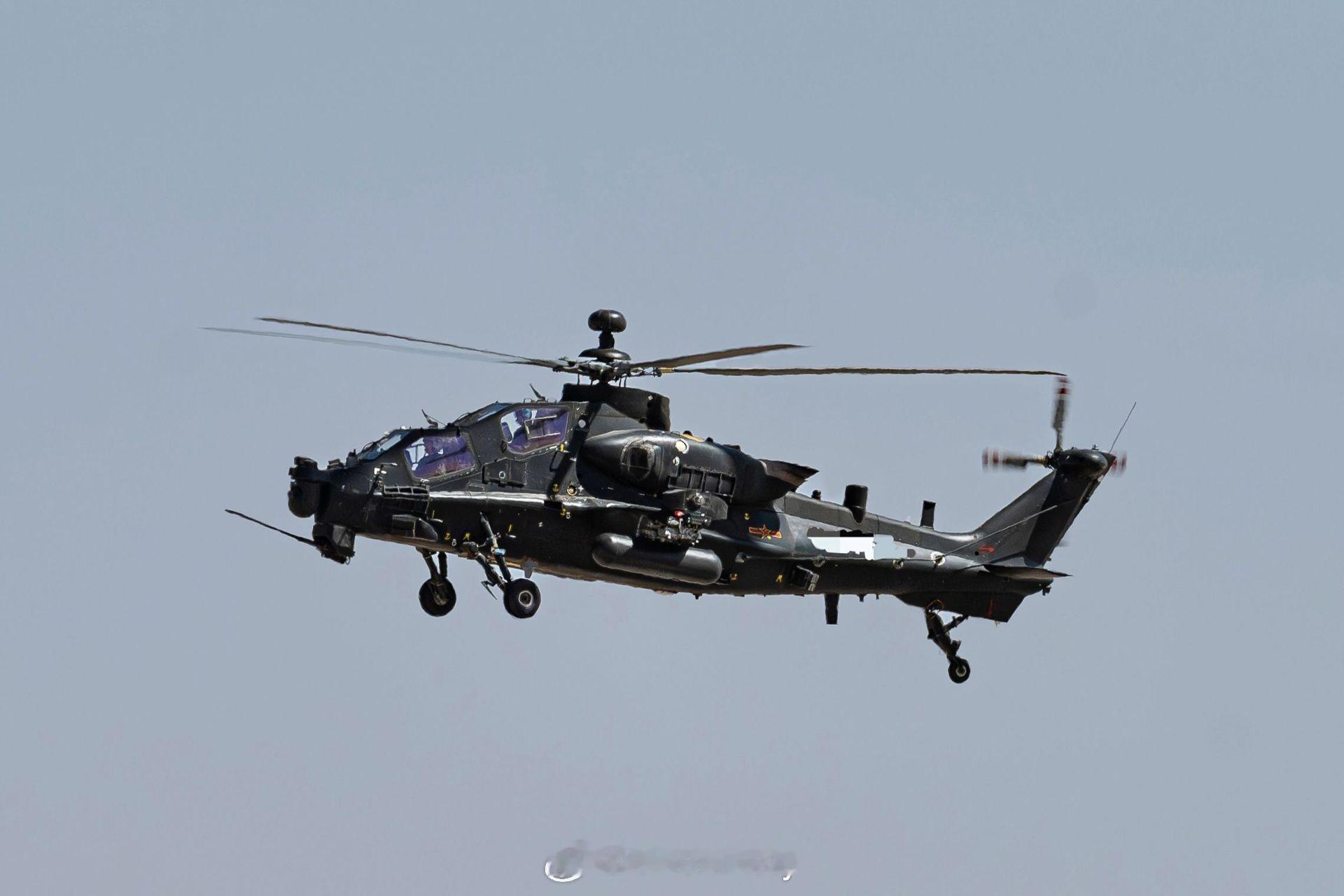 Z-10高配版190视角