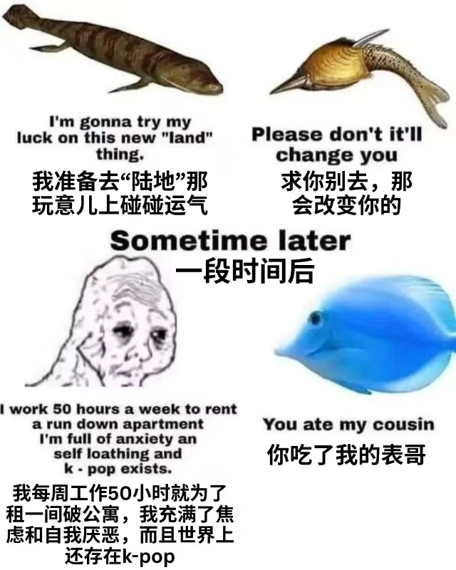 变化够大的 ​​​