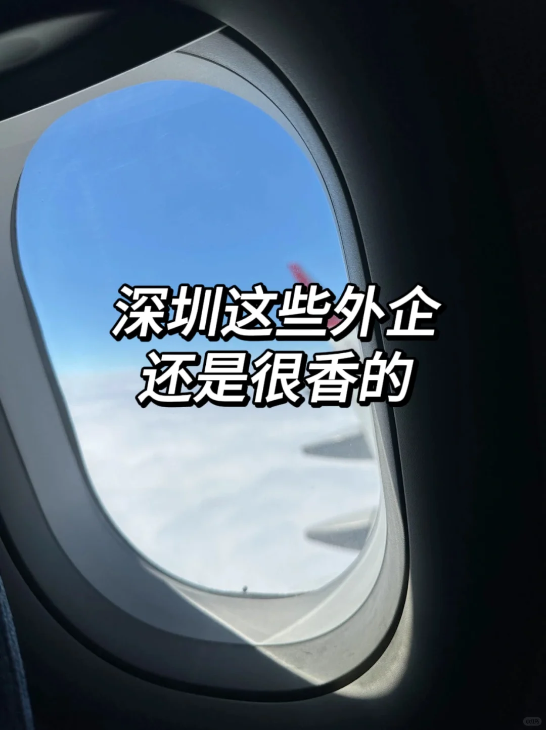 深圳这些外企还是很香的