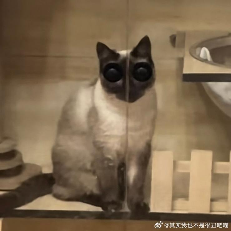 49824【心灵丑】躲柜子把手后面，半夜刷视频吓我一跳 