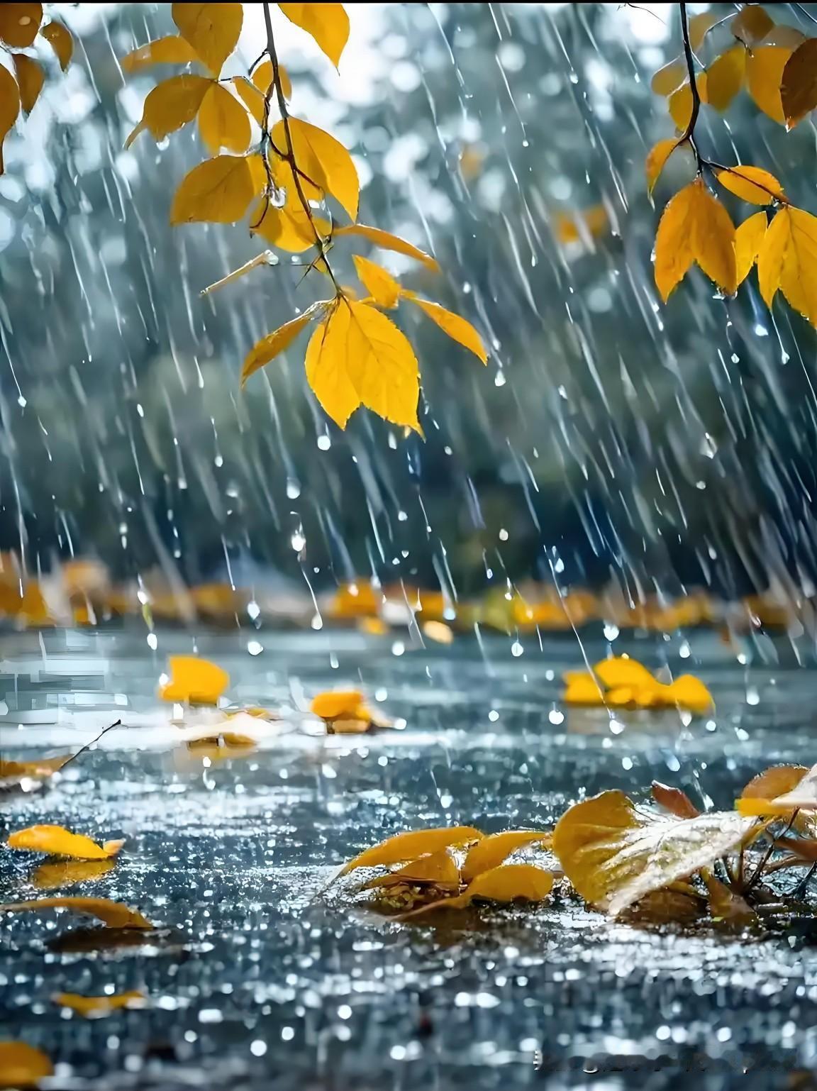《雨中秋思》
——元末.王恭
西风微雨对空堂，
门柳萧萧叶尽黄。
江海亲朋零落尽