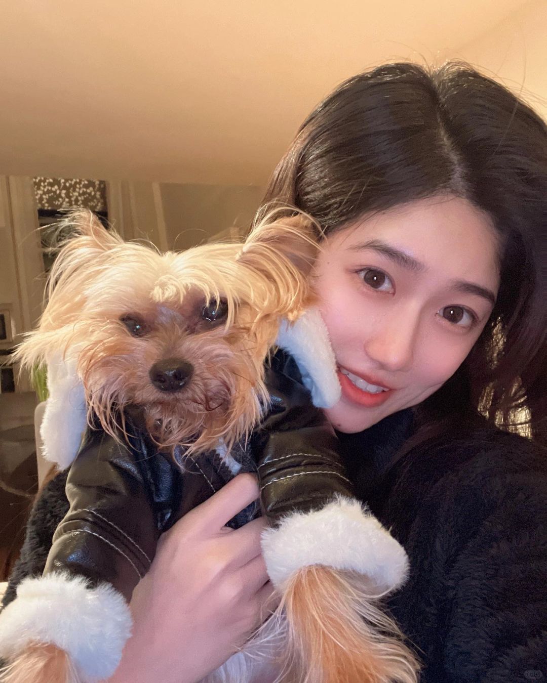 谁家狗狗这么可爱呀