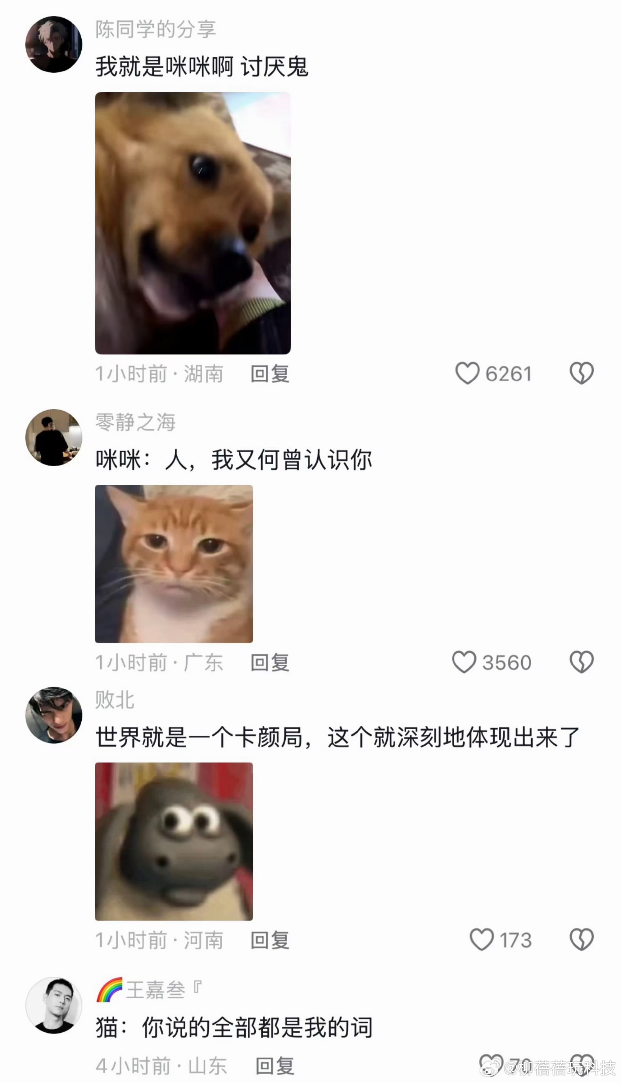 狗 我就是咪咪啊好可爱的词条！小猫小狗都是人类的好朋友！ 