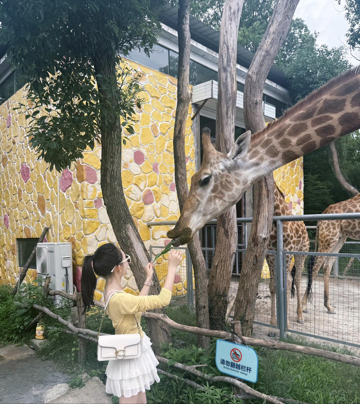 我本就有吃蛋糕的能力 不稀罕谁吃馒头是为了给我买面包