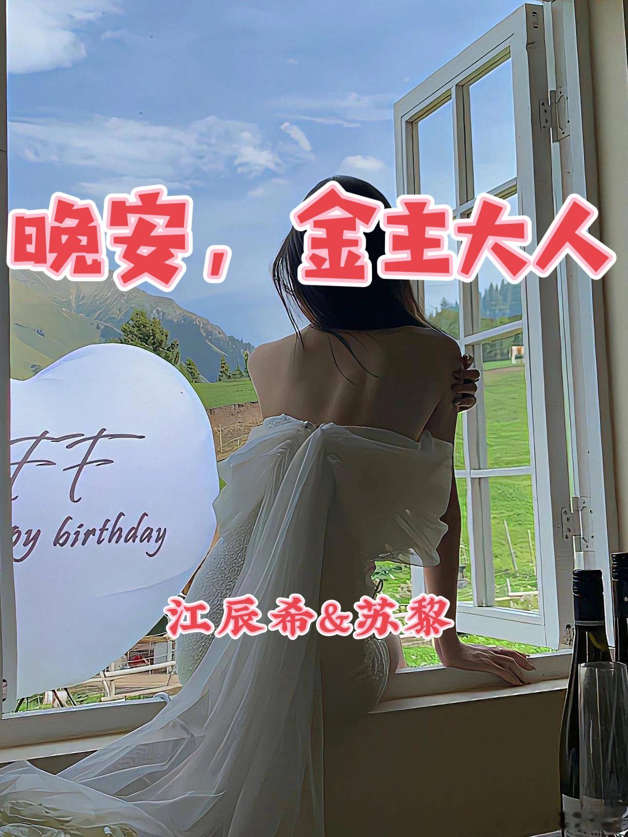 《晚安，金主大人》作者：季桐🖤十八线小明星vs腹黑霸总，包养梗，年龄差十岁，情