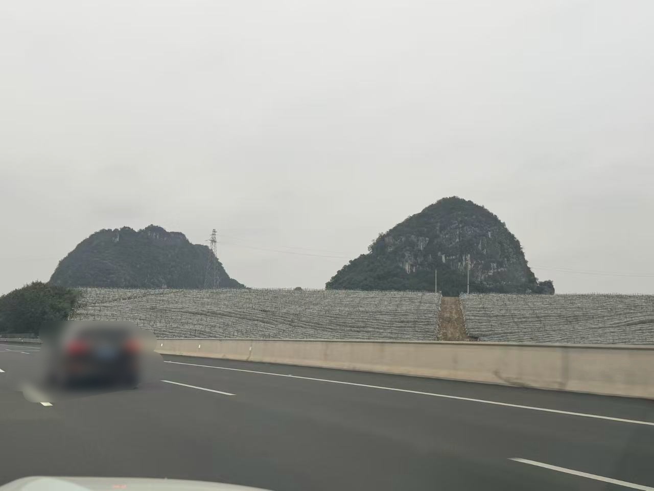 🔻广西高速路边看到的。🔻这是火龙果田吗？过年好热点现场